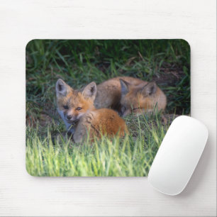 Cutest Baby Animals Pair of Red Fox Kit Siblings Mouse Pad