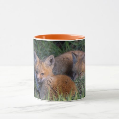 Cutest Baby Animals  Pair of Red Fox Kit Siblings Mug