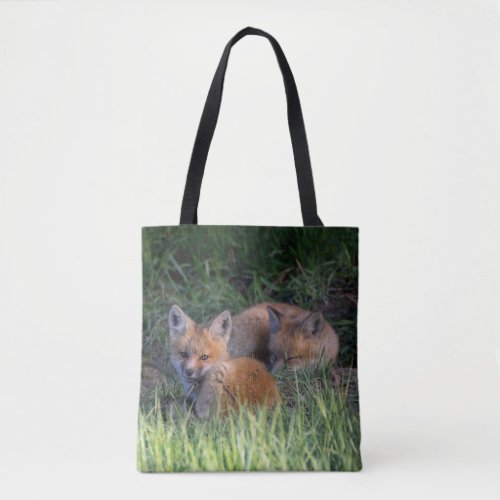 Cutest Baby Animals  Pair of Red Fox Kit Siblings Tote Bag