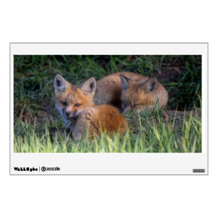 Cutest Baby Animals   Pair of Red Fox Kit Siblings Wall Decal