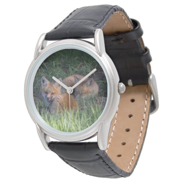 Cutest Baby Animals | Pair of Red Fox Kit Siblings Watch (Angled)