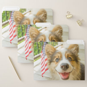 Cutest Baby Animals Patriotic Corgi Puppy File Folder