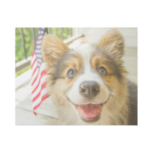 Cutest Baby Animals Patriotic Corgi Puppy Gallery Wrap