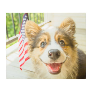 Cutest Baby Animals Patriotic Corgi Puppy Metal Print