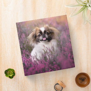 Cutest Baby Animals   Pekingese Puppy 3 Ring Binder