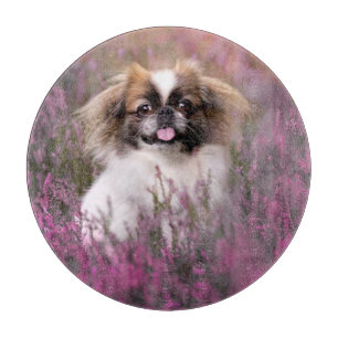 Cutest Baby Animals   Pekingese Puppy Cutting Board