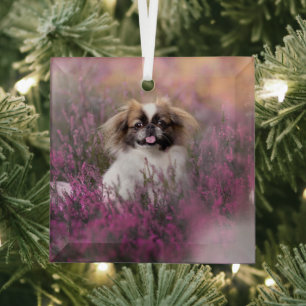 Cutest Baby Animals Pekingese Puppy Glass Ornament