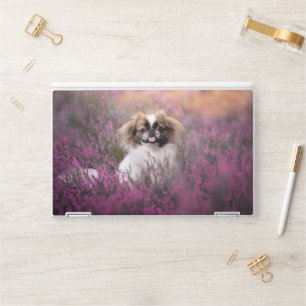 Cutest Baby Animals   Pekingese Puppy HP Laptop Skin