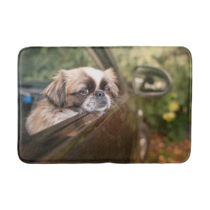 Cutest Baby Animals   Pekingese Puppy in Car Bath Mat