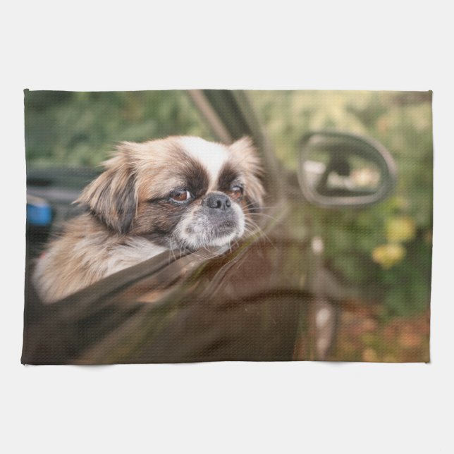 Cutest Baby Animals | Pekingese Puppy in Car Kitchen Towel (Horizontal)