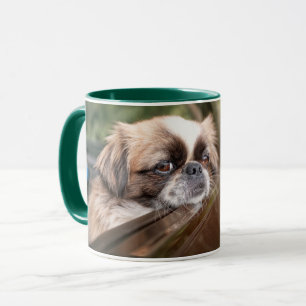 Cutest Baby Animals Pekingese Puppy in Car Mug