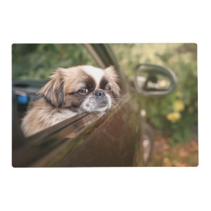 Cutest Baby Animals Pekingese Puppy in Car Placemat