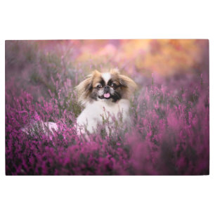 Cutest Baby Animals   Pekingese Puppy Metal Print