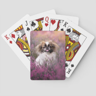 Cutest Baby Animals Pekingese Puppy Poker Cards