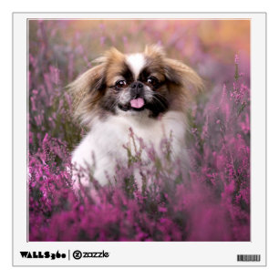 Cutest Baby Animals   Pekingese Puppy Wall Decal