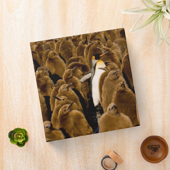 Cutest Baby Animals | Penguin Among Youngsters 3 Ring Binder (In Situ)