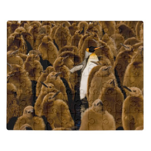 Cutest Baby Animals   Penguin Among Youngsters Jigsaw Puzzle