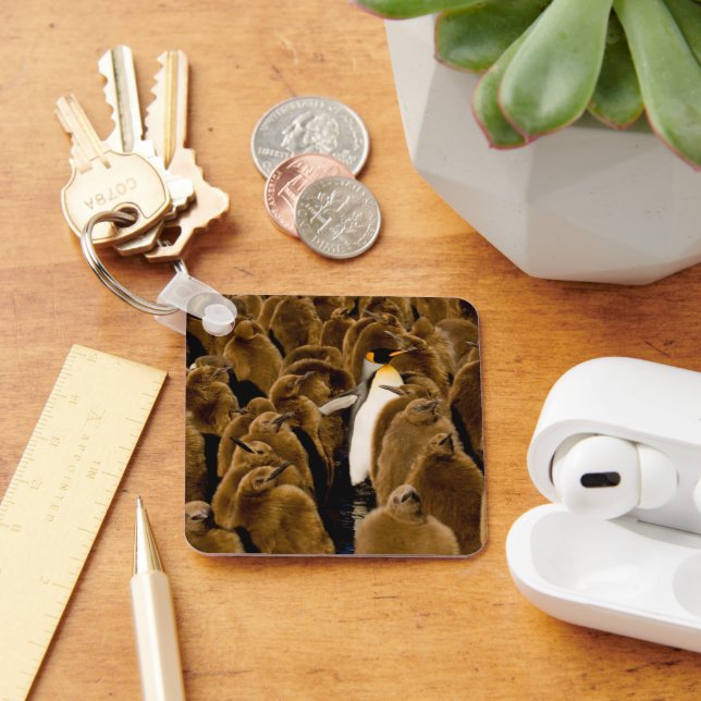 Cutest Baby Animals | Penguin Among Youngsters Keychain (Desk)