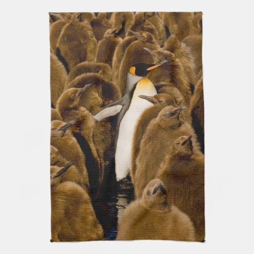 Cutest Baby Animals  Penguin Among Youngsters Kitchen Towel