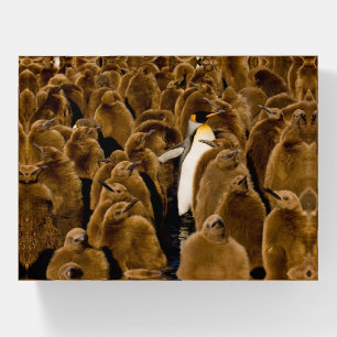 Cutest Baby Animals Penguin Among Youngsters Paperweight