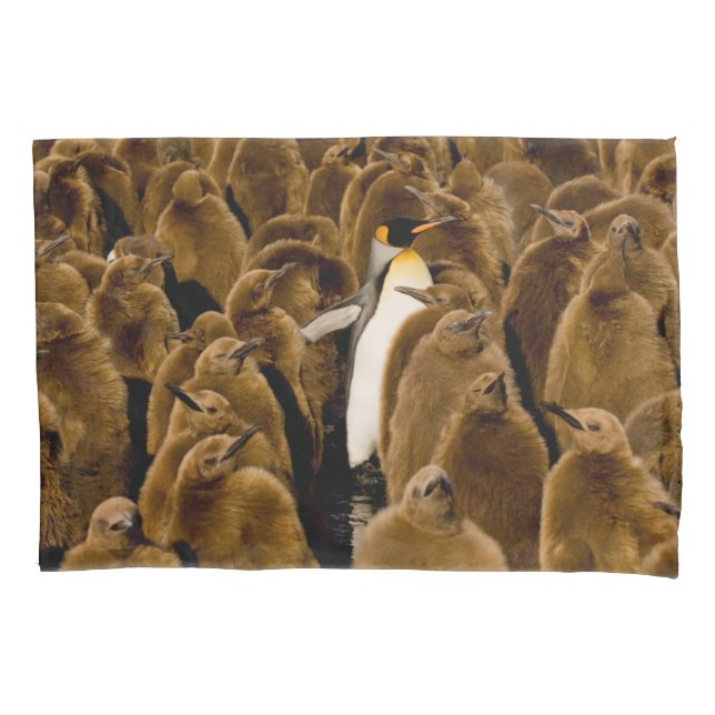 Cutest Baby Animals | Penguin Among Youngsters Pillow Case (Front)
