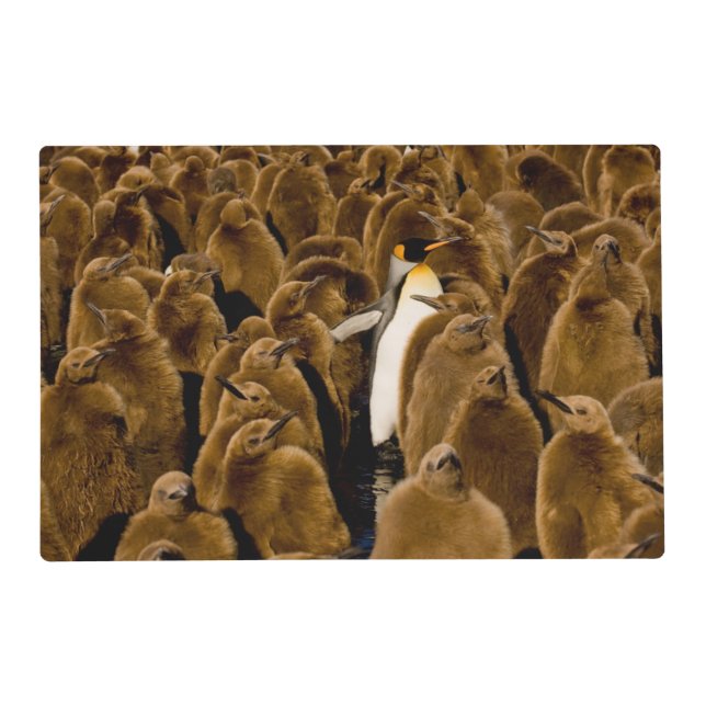 Cutest Baby Animals | Penguin Among Youngsters Placemat (Front)
