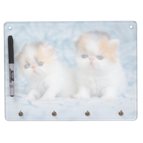 Cutest Baby Animals  Persian Calico Kitten Dry Erase Board With Keychain Holder