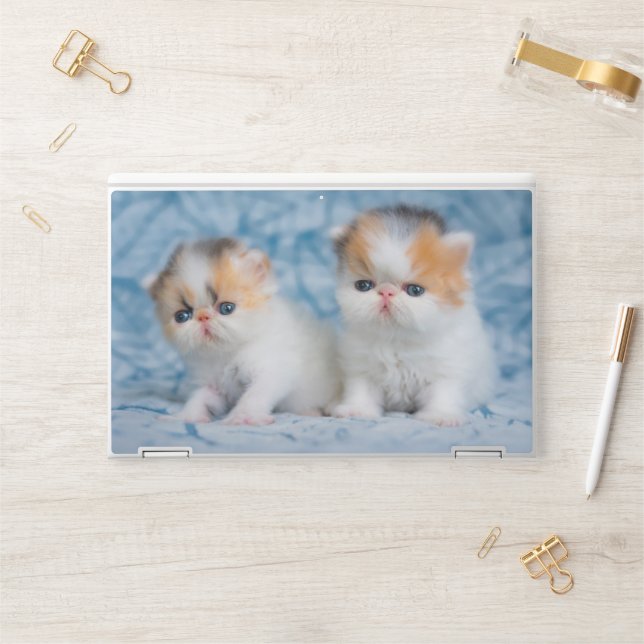 Cutest Baby Animals | Persian Calico Kitten HP Laptop Skin (Desk)