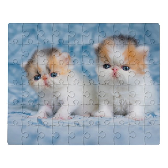 Cutest Baby Animals | Persian Calico Kitten Jigsaw Puzzle (Puzzle Horizontal)