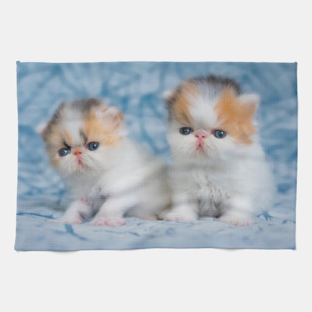 Cutest Baby Animals | Persian Calico Kitten Kitchen Towel (Horizontal)