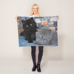 Cutest Baby Animals   Persian Kittens on Blanket