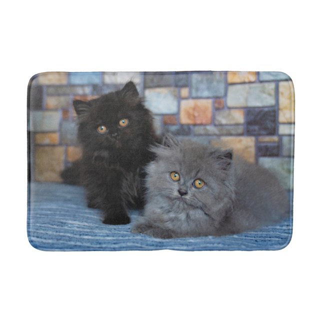 Cutest Baby Animals | Persian Kittens on Blanket Bath Mat (Front)