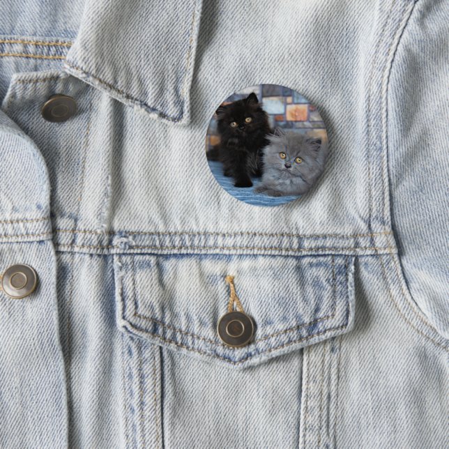 Cutest Baby Animals | Persian Kittens on Blanket Button (In Situ)