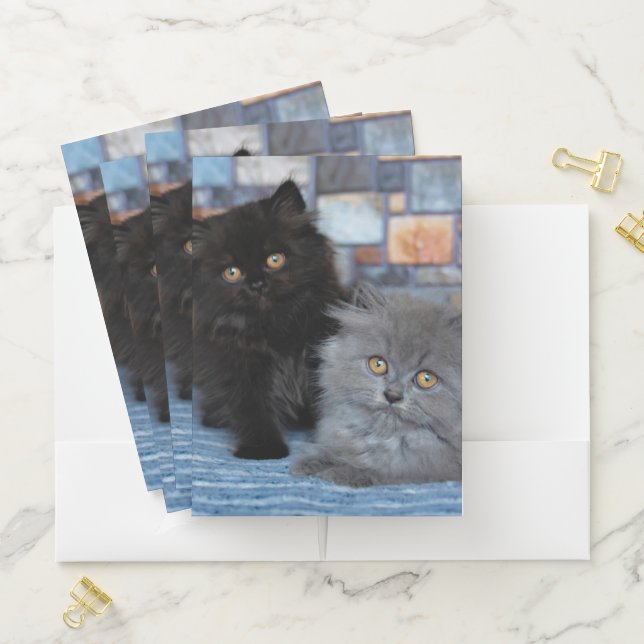 Cutest Baby Animals | Persian Kittens on Blanket Pocket Folder (In Situ)