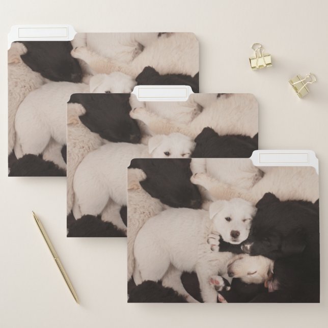 Cutest Baby Animals | Pile of Puppies File Folder (Set)