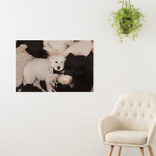 Cutest Baby Animals Pile of Puppies Foam Board