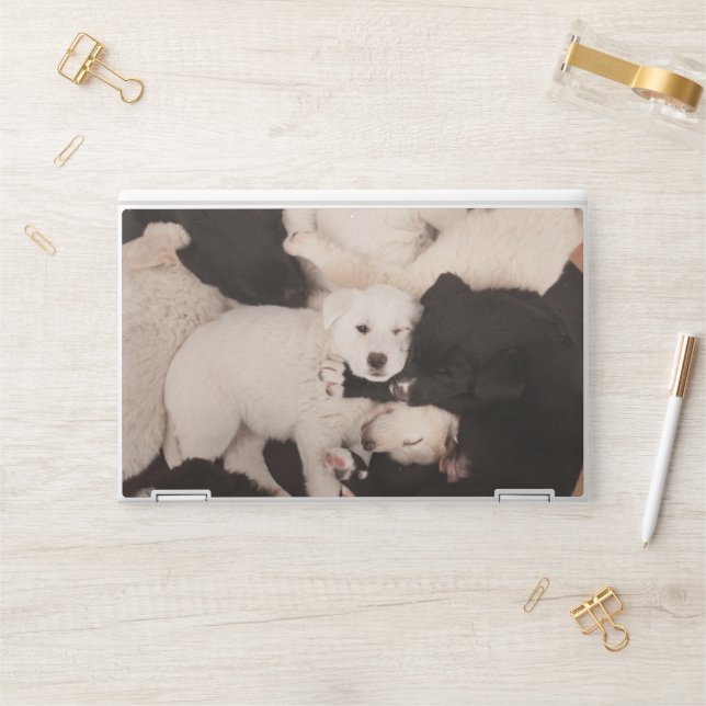Cutest Baby Animals | Pile of Puppies HP Laptop Skin (Desk)