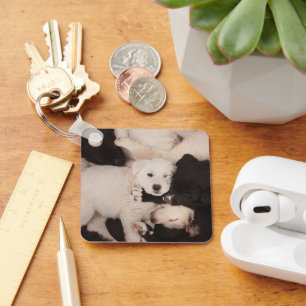 Cutest Baby Animals   Pile of Puppies Keychain