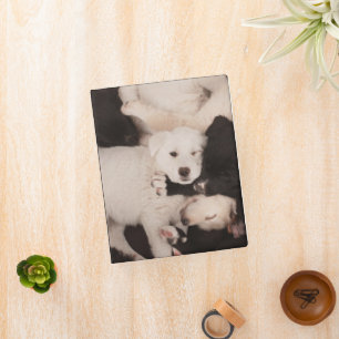 Cutest Baby Animals   Pile of Puppies Mini Binder