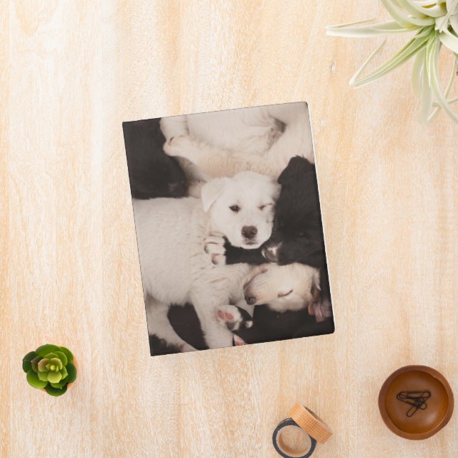Cutest Baby Animals | Pile of Puppies Mini Binder (InSitu)