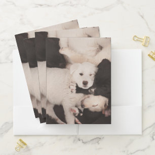 Cutest Baby Animals Pile of Puppies Pocket Folder