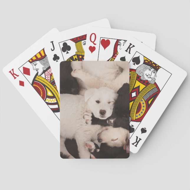 Cutest Baby Animals | Pile of Puppies Poker Cards (Back)