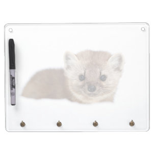 Cutest Baby Animals   Pine Marten Dry Erase Board With Keychain Holder