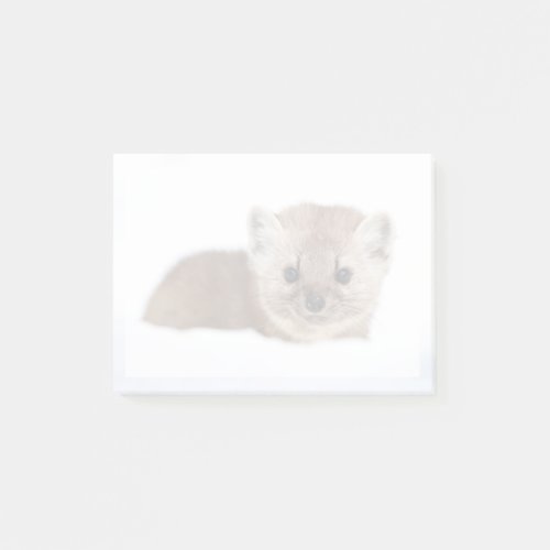Cutest Baby Animals  Pine Marten Post_it Notes