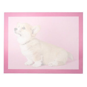 Cutest Baby Animals Pink Corgi Puppy Notepad