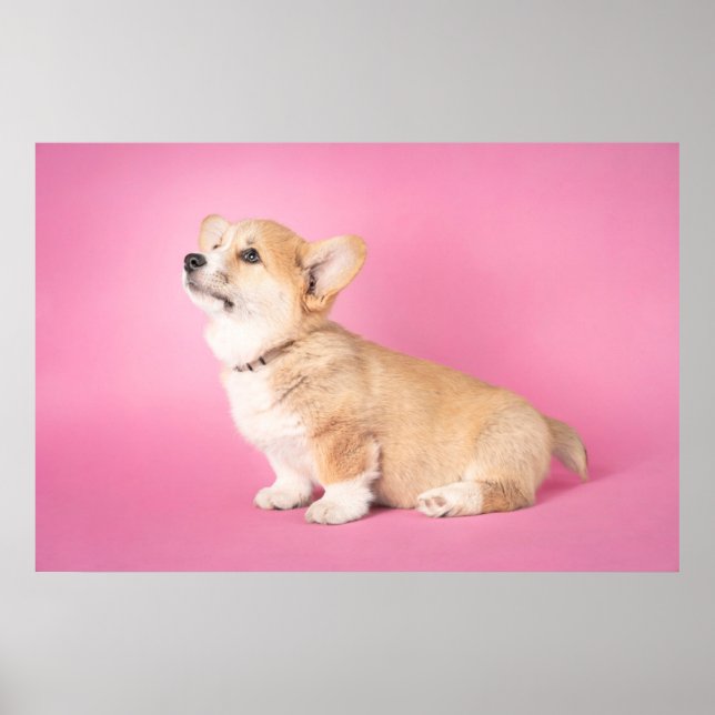 Cutest Baby Animals | Pink Corgi Puppy Poster (Front)
