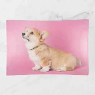 Cutest Baby Animals Pink Corgi Puppy Trinket Tray
