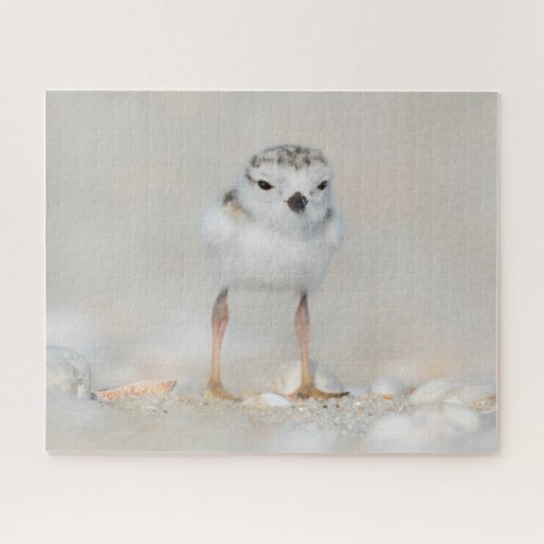 Cutest Baby Animals  Piping Plover Chick Jigsaw Puzzle