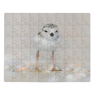 Cutest Baby Animals   Piping Plover Chick Jigsaw Puzzle