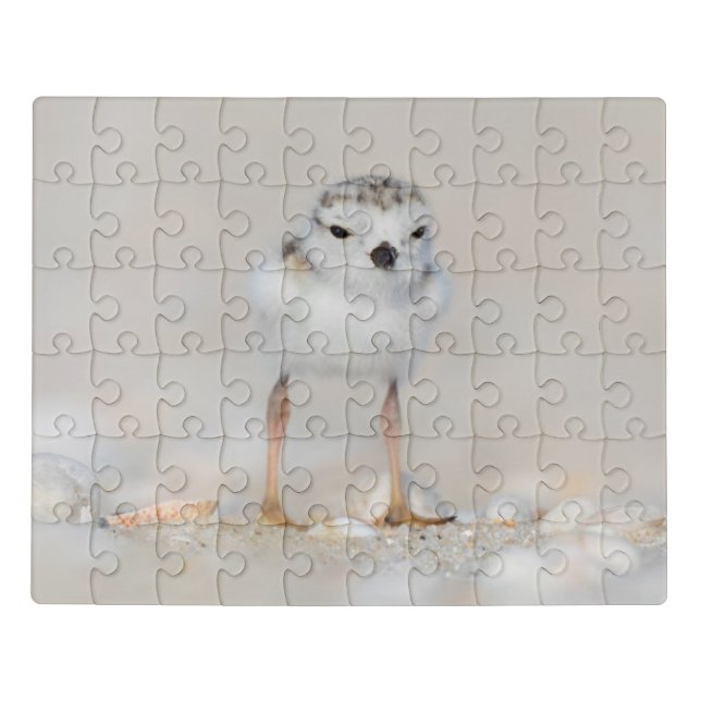 Cutest Baby Animals | Piping Plover Chick Jigsaw Puzzle (Puzzle Horizontal)